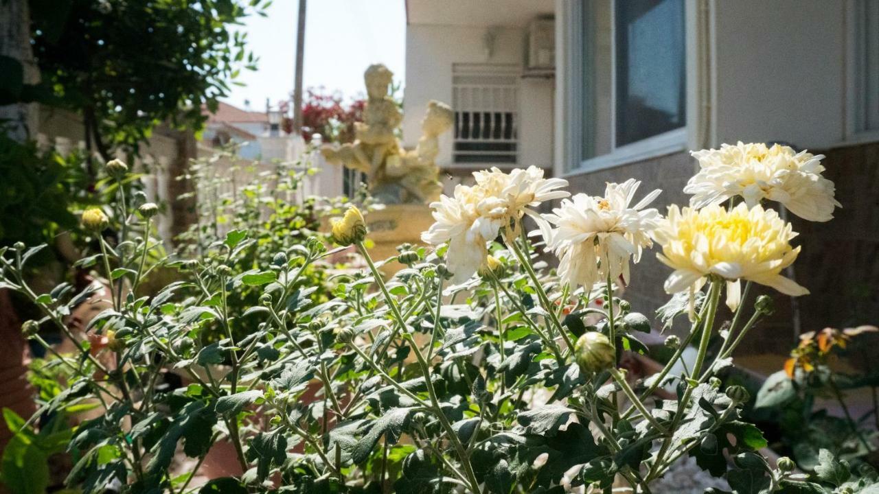 Niki Apartments Paralia Dionysiou Exterior photo